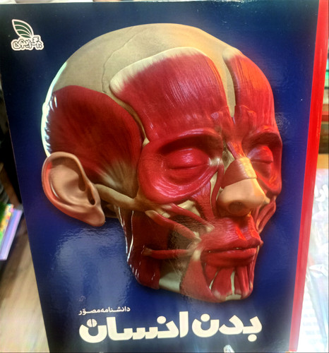 بدن انسان